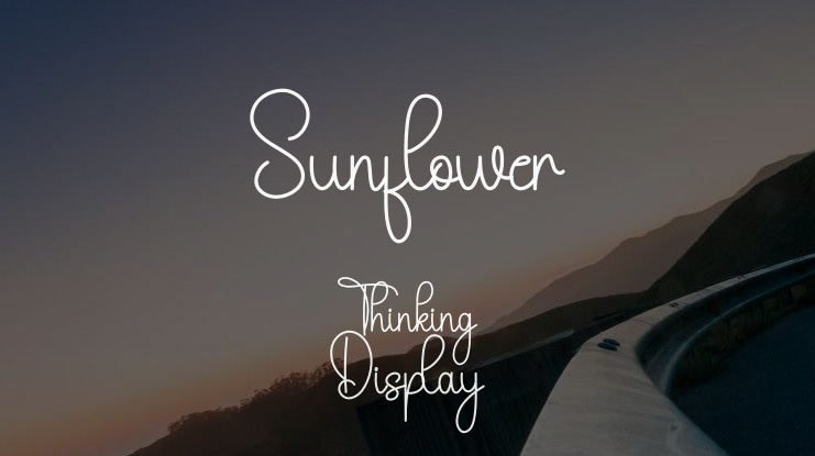 Sunflower Thinking Font