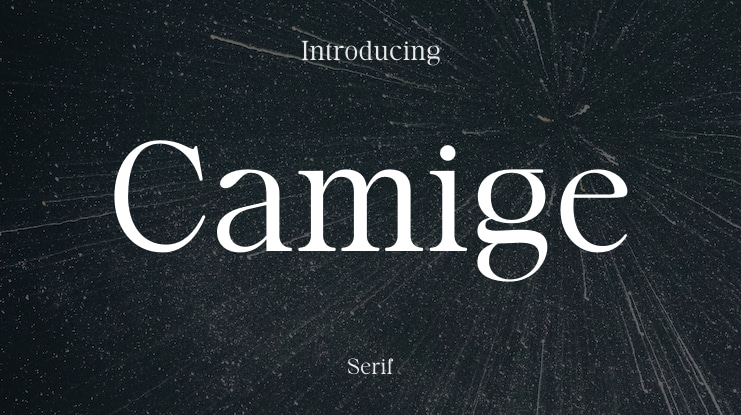 Camige Font