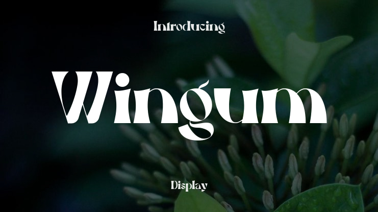 Wingum Font