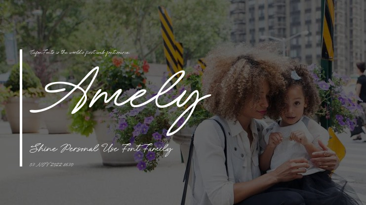 Amely Shine Personal Use Font
