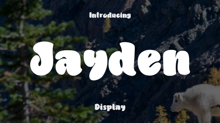 Jayden Font