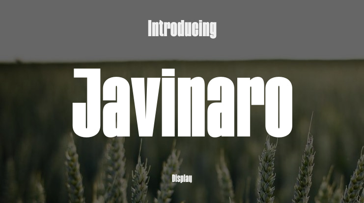Javinaro Font