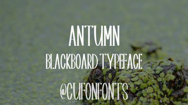 Antumn Blackboard Font