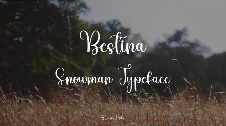 Bestina Snowman Font