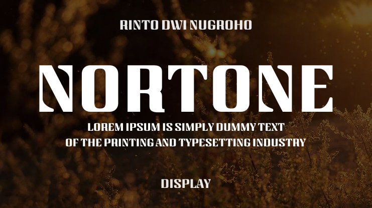 Nortone Font