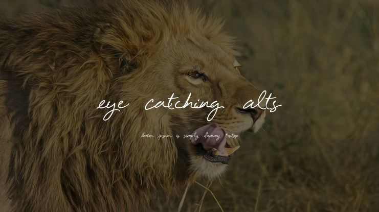 Eye Catching Alts Font