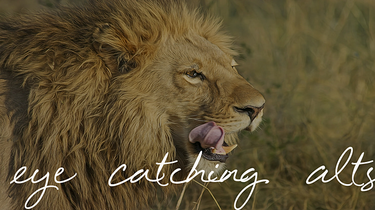 Eye Catching Alts Font