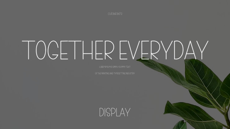 Together Everyday Font
