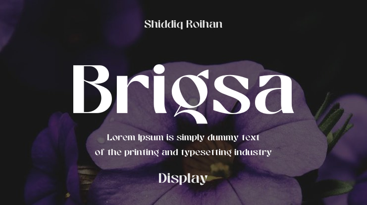 Brigsa Font