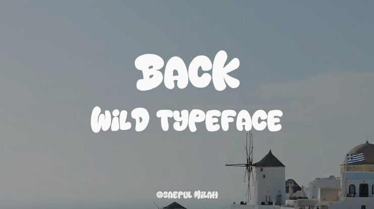 Back Wild Font