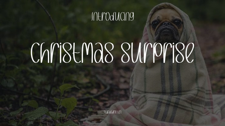 Christmas Surprise Font
