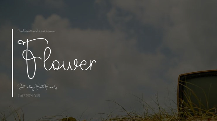 Flower Saturday Font