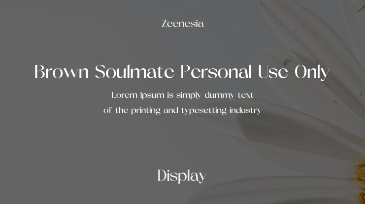 Brown Soulmate Personal Use Only Font Family
