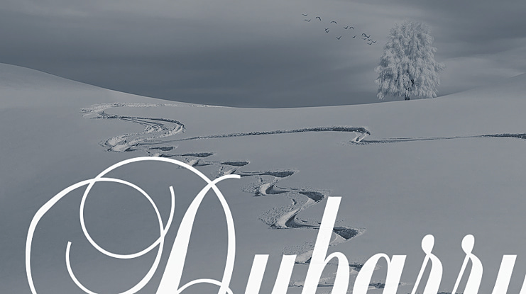 Dubarry Font