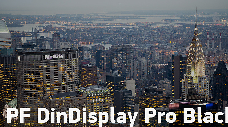 PF DinDisplay Pro Black Font Family