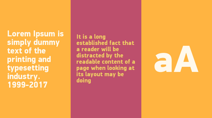 PF DinDisplay Pro Black Font Family