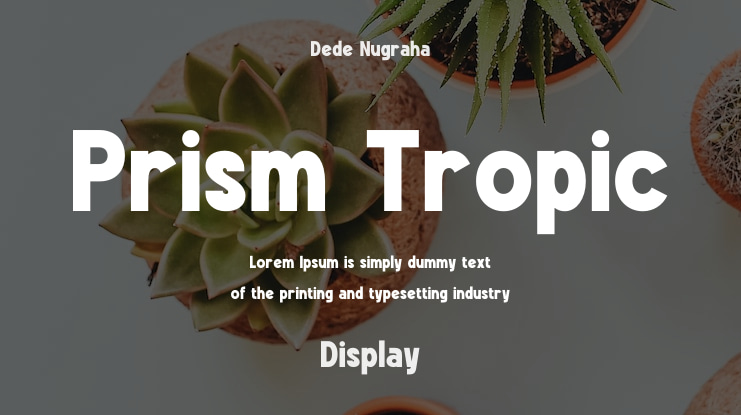 Prism Tropic Font