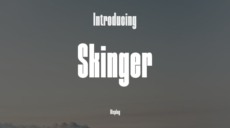 Skinger Font