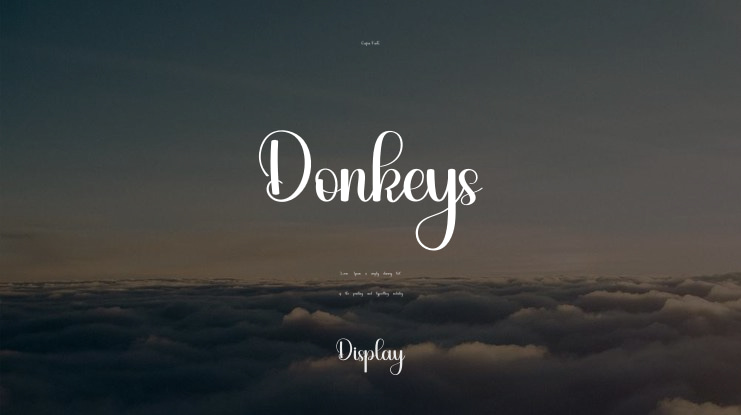 Donkeys Font