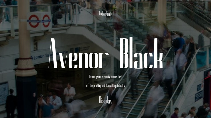 Avenor Black Font Family
