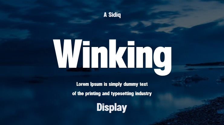 Winking Font