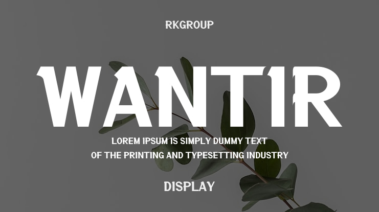 Wantir Font