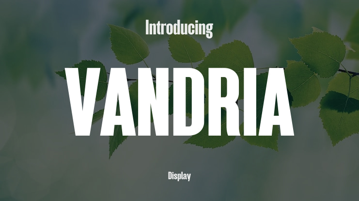 VANDRIA Font