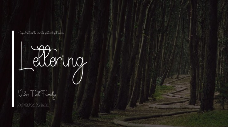 Lettering Vibes Font