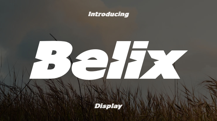 Belix Font