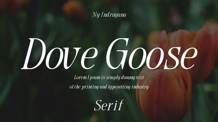 Dove Goose Font