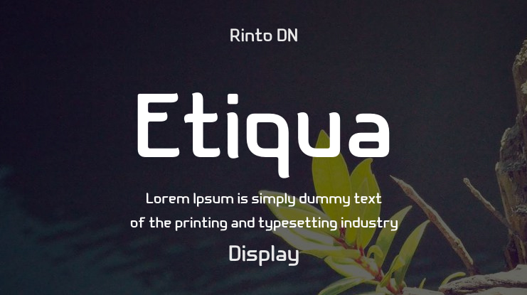 Etiqua Font