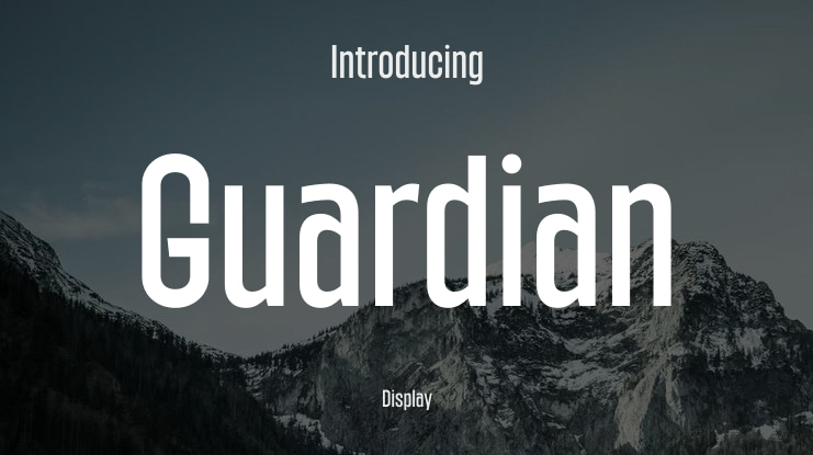 Guardian Font