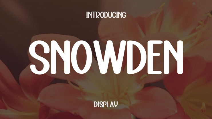 Snowden Font