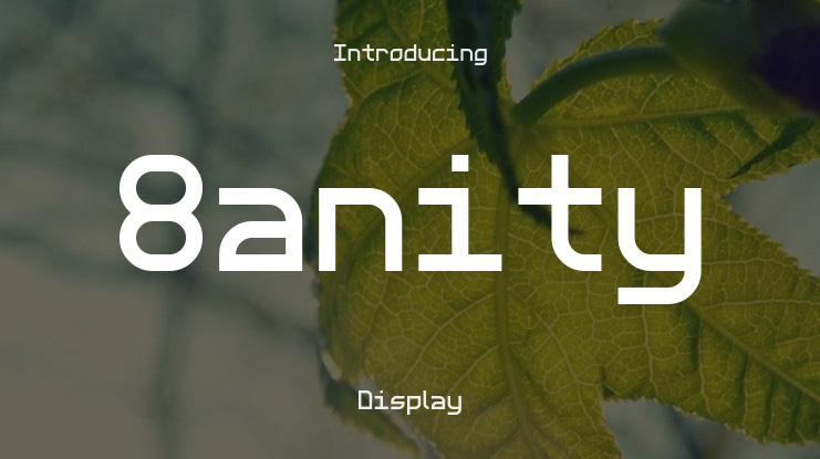 8anity Font