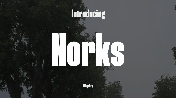 Norks Font