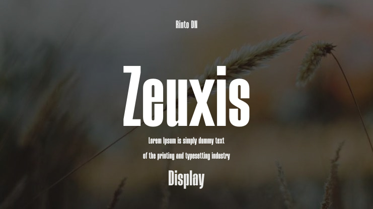 Zeuxis Font