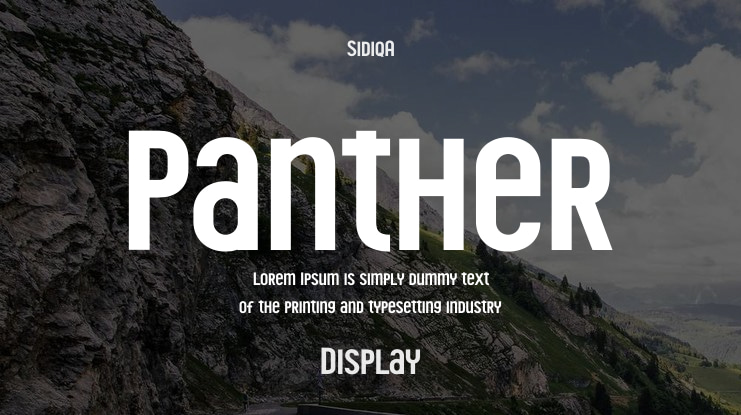 Panther Font