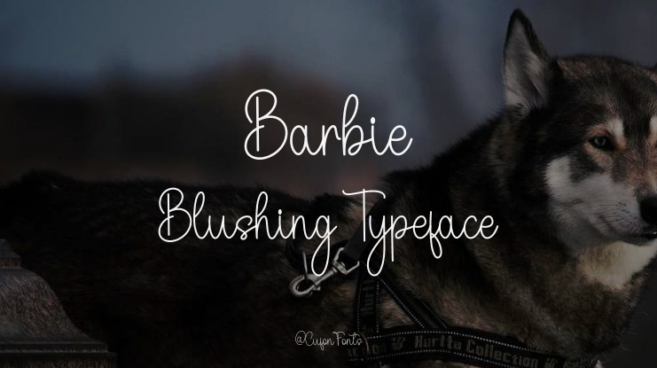 Barbie Blushing Font