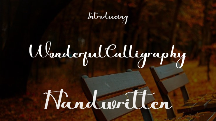 WonderfulCalligraphy Font