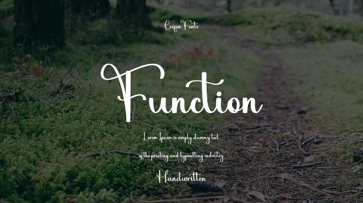 Function Font
