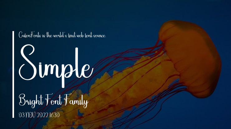 Simple Bright Font