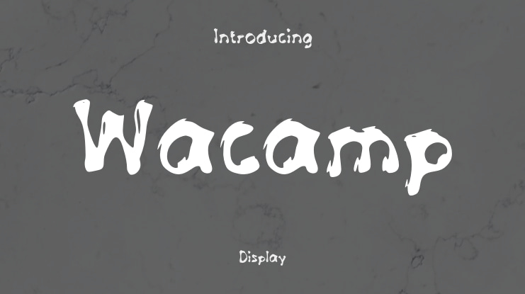 Wacamp Font