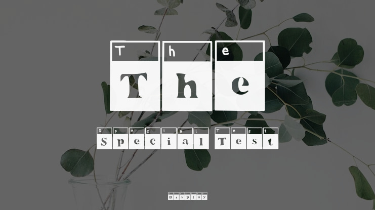 The Special Test Font