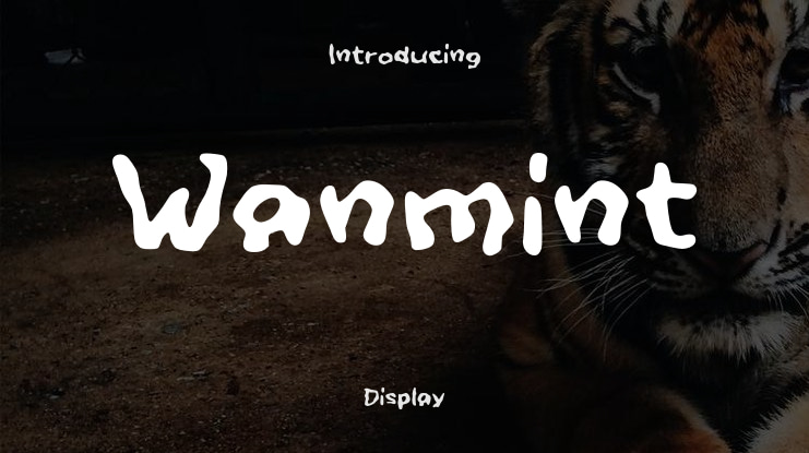 Wanmint Font