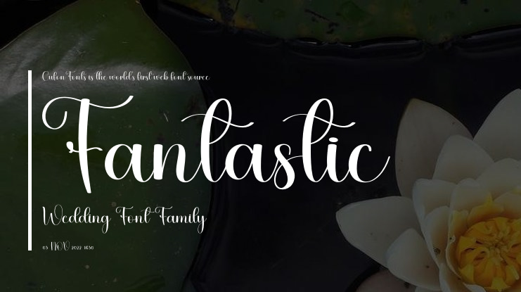 Fantastic Wedding Font