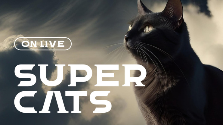 Aeogo Pxltd Serif Font Family