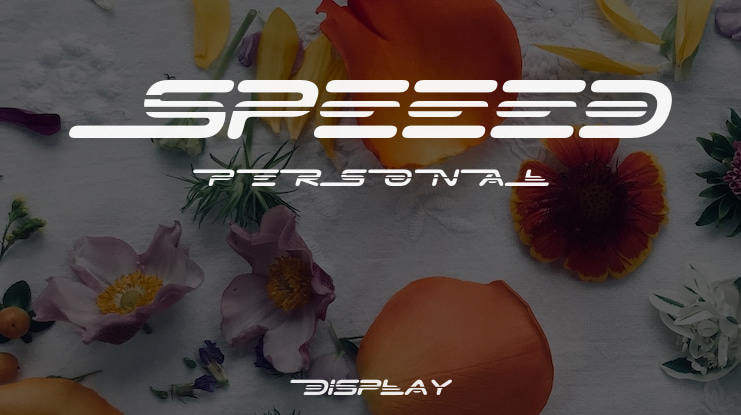 Speeed PERSONAL Font