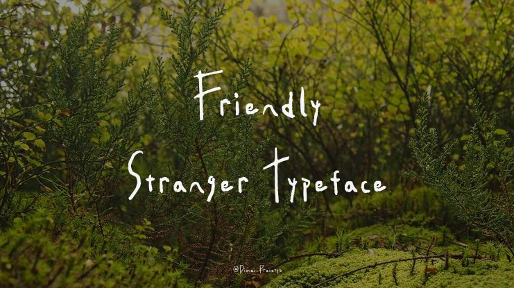 Friendly Stranger Font