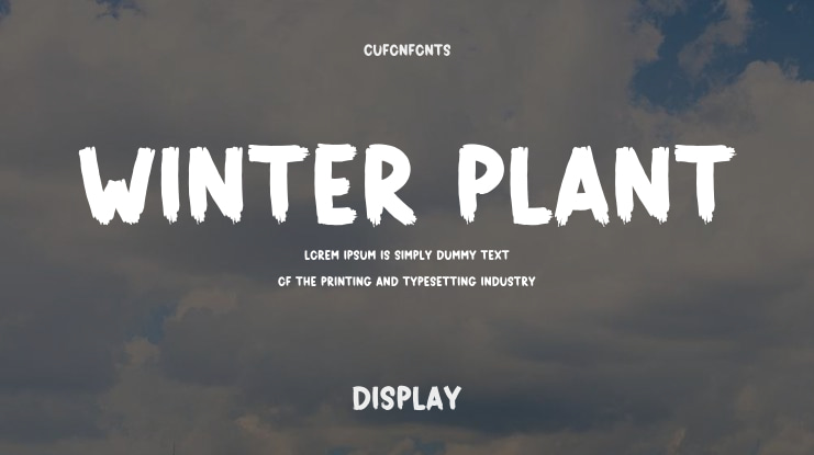 Winter Plant Font