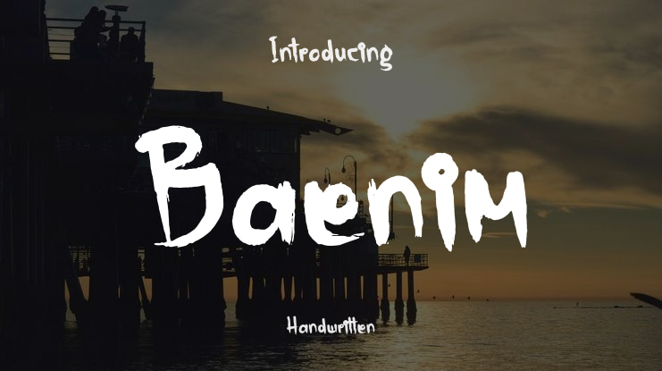 Baenim Font